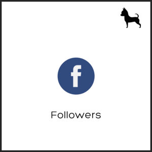 Followers Facebook Internazionali