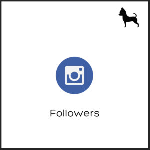 Followers Instagram
