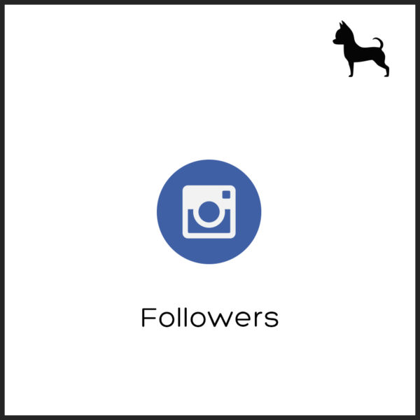 Followers Instagram