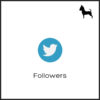 Followers Twitter - immagine 2