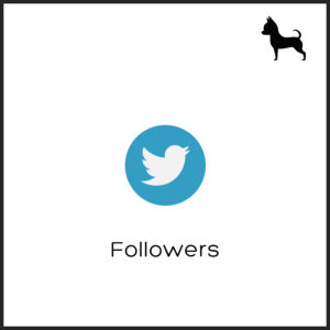 Followers Twitter