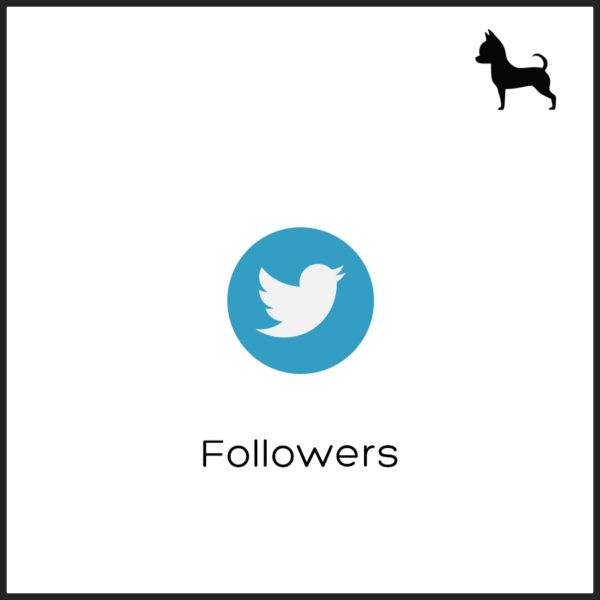 Followers Twitter